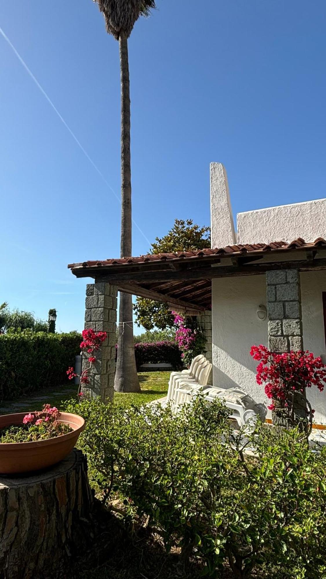 Villa Moma Giardino, Tennis E Piscina Panoramica Ischia Zewnętrze zdjęcie