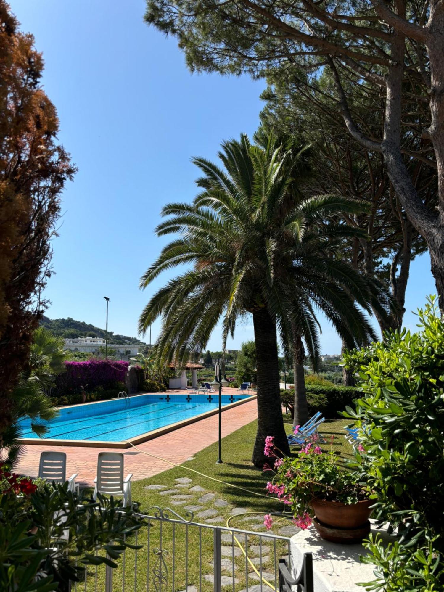 Villa Moma Giardino, Tennis E Piscina Panoramica Ischia Zewnętrze zdjęcie