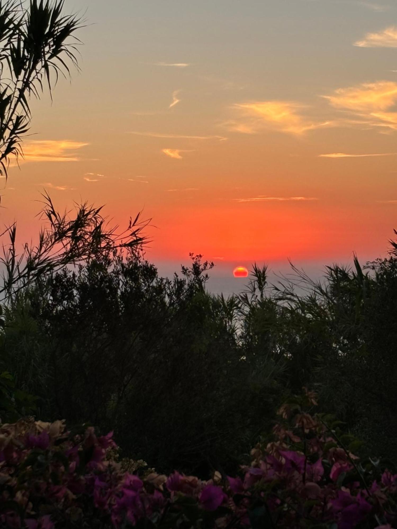 Villa Moma Giardino, Tennis E Piscina Panoramica Ischia Zewnętrze zdjęcie