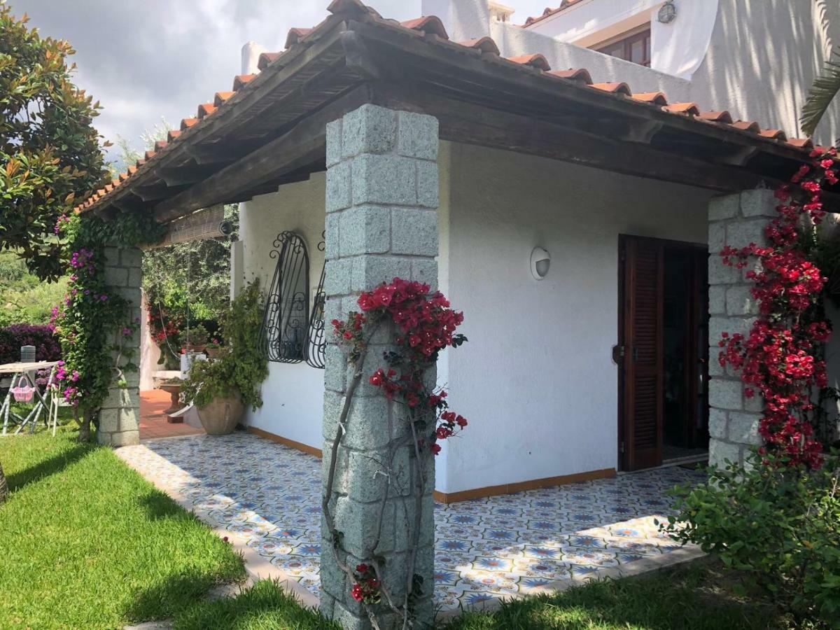Villa Moma Giardino, Tennis E Piscina Panoramica Ischia Zewnętrze zdjęcie