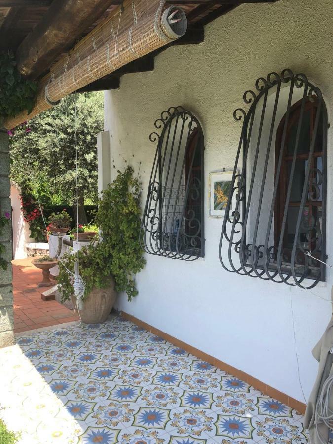Villa Moma Giardino, Tennis E Piscina Panoramica Ischia Zewnętrze zdjęcie