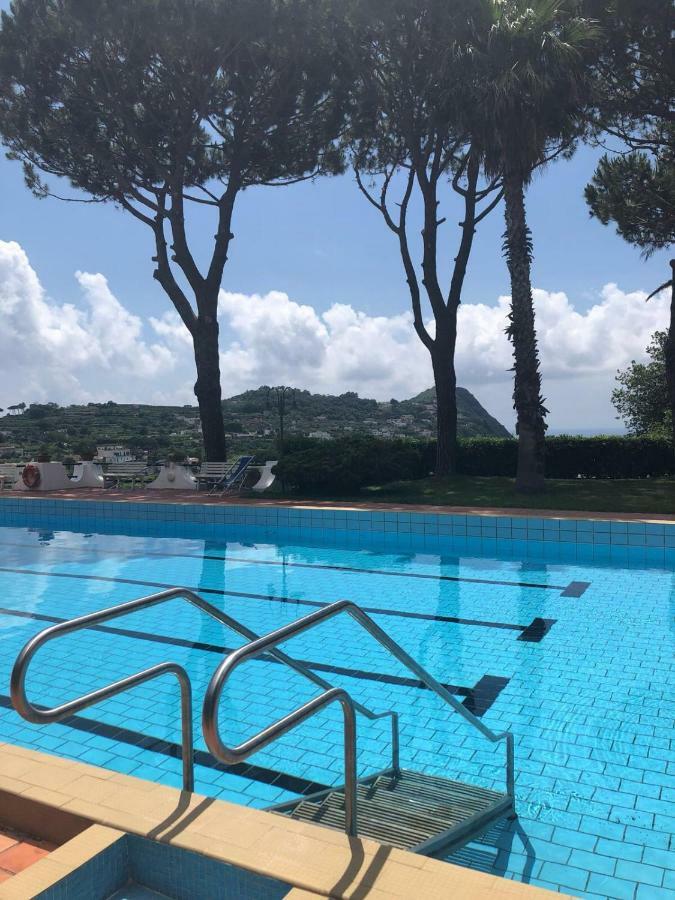 Villa Moma Giardino, Tennis E Piscina Panoramica Ischia Zewnętrze zdjęcie