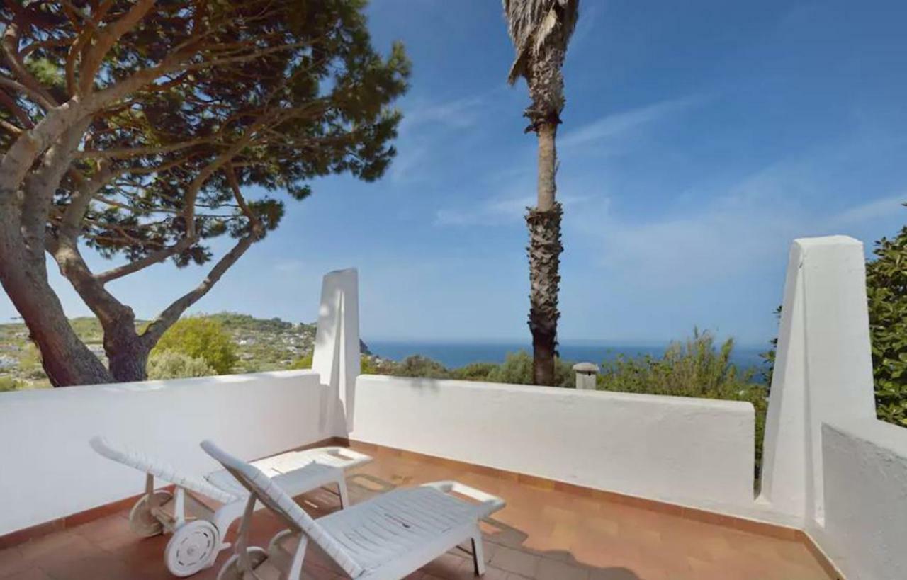 Villa Moma Giardino, Tennis E Piscina Panoramica Ischia Zewnętrze zdjęcie
